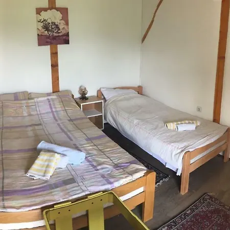 Hacijenda Gane Homestay Soko Banja